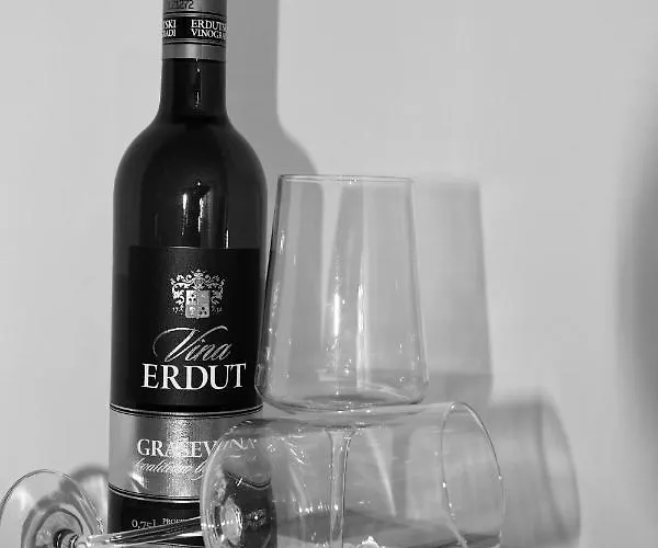 Harmony דירה סומבור